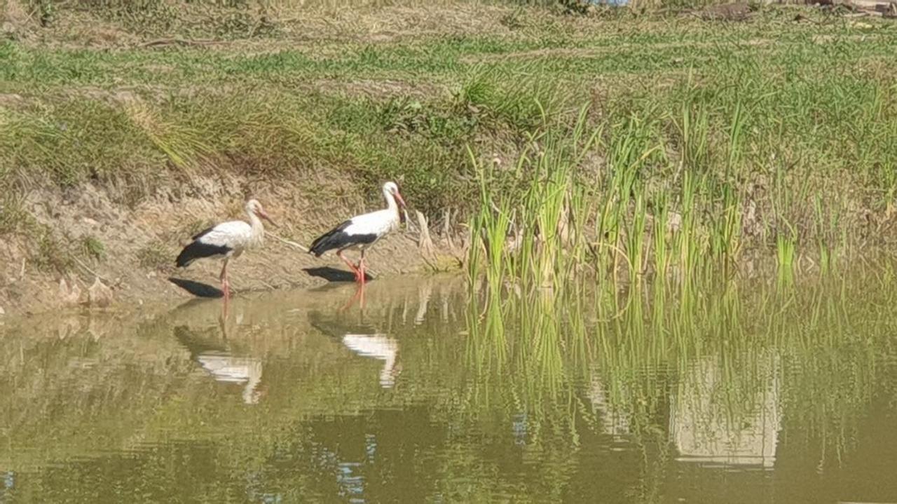 Domek Nad Stawem - Mazury Rozogi Buitenkant foto